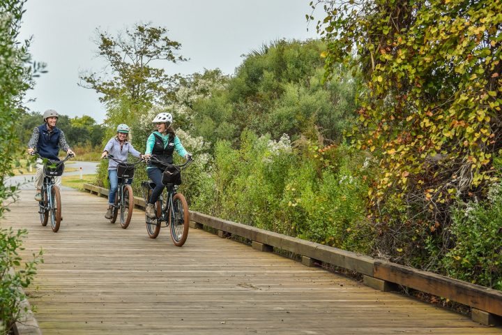 a group of people riding on the back of a bicycle