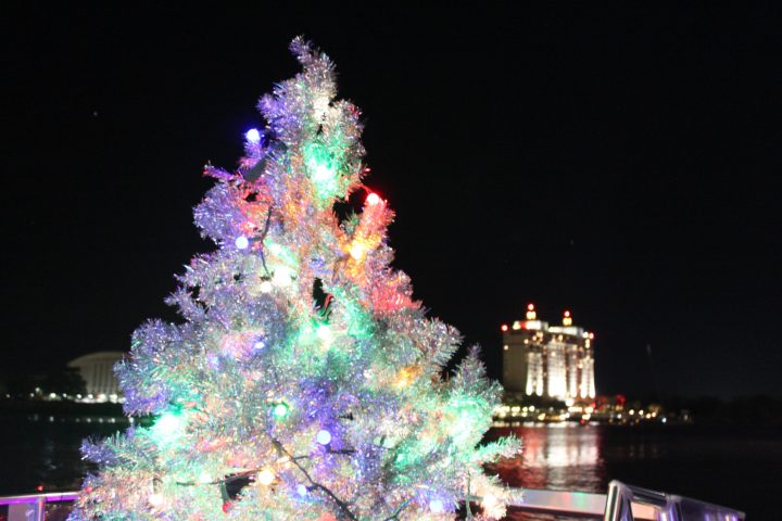 a christmas tree lit up at night